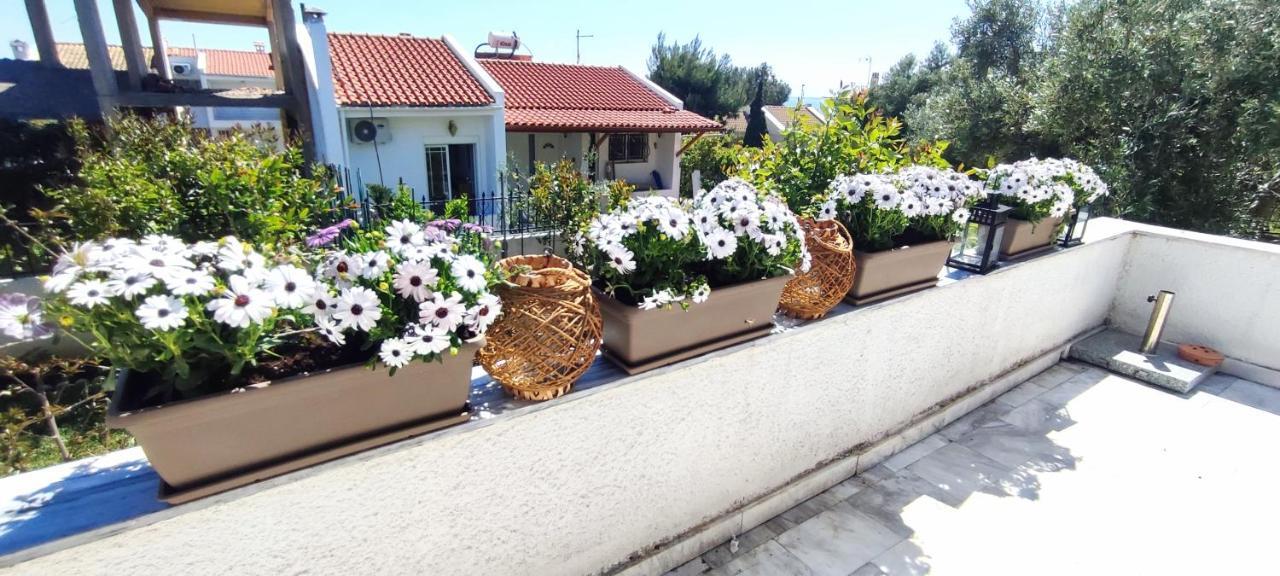 βianca In Sithonia * Gerakini